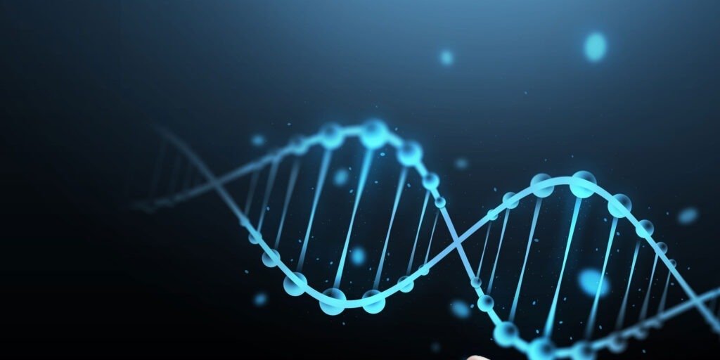 What are peptides — amino acid chain structure and biological signaling diagram