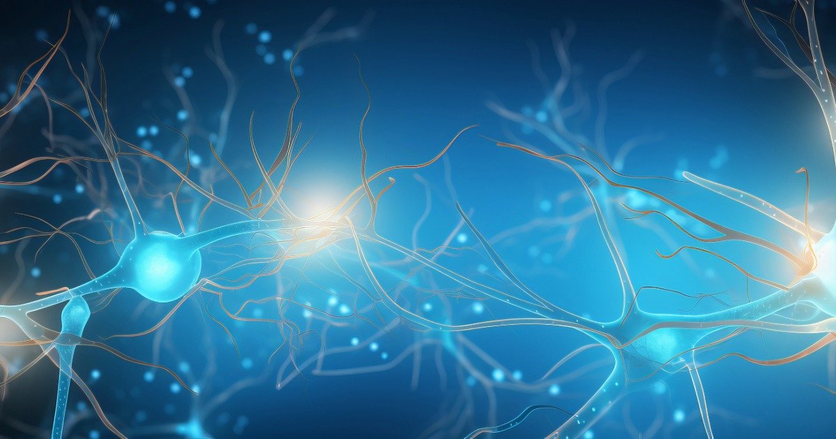 How Peptides Work at the Cellular Level